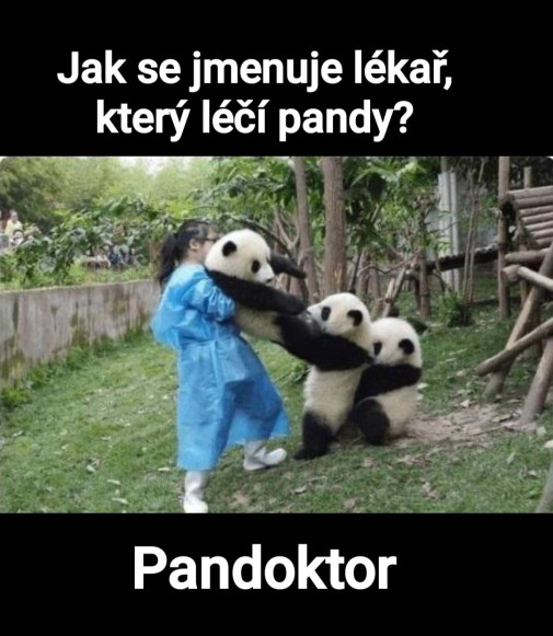 Pandoktor